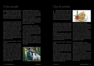 Vrste tartufa

P

Tipi di tartufo

L

odjela tartufa na različite vrste temelji se

3. Tuber aestivum Vittadini - Ljetni tartuf

ponajprije na morfološkim karakteristikama

Obično kuglasta ili lagano okrugla oblika, crne po-

kao što su: oblik, veličina, boja, ornamenti-

vršine poprečno prekrivene piramidastim, dobro

ka, izgled plodišta i peridije, miris i okus. Trenutno u

vidljivim bradavicama. Grumen koji je uvijek svijetlih

svijetu postoje 63 vrste gljiva klasificiranih kao Tuber.

nijansi crvene boje prekriven je brojnim venama

e sapore. Nel mondo le specie di funghi attualmente

Samo je devet od 25 vrsta koje rastu u Italiji i Istri

bijele boje. Spore su mu alveolarne.

classificati come Tuber sono circa 63, in Italia ne sono

jestivo, dok se u prodaji najčešće nalaze 4 vrste (*).

Najveći primjerci mogu dostići veličinu jabuke.

presenti 25, ma solo 9 sono considerate commestibili

Predstavlja jedan od najčešćih tartufa - osim kratke

e 4 quelle più comunemente commercializzate (*).

a determinazione delle diverse specie di tartufi
è basata essenzialmente su caratteri morfologici come forma, dimensione, colore, orna-

mentazioni del peridio, aspetto della gleba, profumo

proljetne pauze, moguće ga je pronaći tokom cijele
1. Tuber magnatum Pico - Plemeniti bijeli tartuf

godine i to u velikim količinama u podnožju hrasta,

Ovaj je tartuf kuglasta, često spljoštena i nepravilna

lješnjaka, topola, bukvi i borova.

1. Tuber magnatum Pico - Tartufo Bianco pregiato

3. Tuber aestivum Vittadini - Scorzone

oblika, blijedo žute ili ponekad oker boje prekriven

Forma globosa, spesso anche appiattita e irregolare,

Forma solitamente globosa o poco globata, con

zagasito-crvenim mrljama, nikada siv, gladak ili lagano

4. Tuber brumale Vittadini - Zimski tartuf

con peridio giallo pallido o anche ocraceo con chiazze

peridio nero a verruche piramidali striate trasversal-

bradavičast. Grumen je prekriven brojnim, vrlo razgra-

Obično kuglasta ili lagano okrugla oblika, crne i

rosso-brune, mai grigio, liscio o lievemente papillato. La

mente, ben evidenti. La gleba, sempre chiara, varia

natim bijelim šarama te poprima nijanse u rasponu

tamno željezite površine, prekriven vrlo spljošte-

gleba, percorsa da numerose venature bianche, molto

dal colore roseo ed è solcata da numerosissime

od boje mlijeka do intenzivne ružičaste boje. Spore

nim i dobro vidljivim bradavicama koje su na vrhu

ramificate, varia dal colore latte al rosa intenso. Le spore

venature bianche. Le spore sono alveolate.

su mu alveolarne. Dostiže veličinu velike jabuke.

udubljene i uzdužno kanalaste. Grumen je zagasit

sono alveolate. Raggiungie anche la dimensione di una

Gli esemplari più grandi possono raggiungere la

Moguće ga je pronaći tek u kasno ljeto, jesen i po-

ocrne ili sivo-crne boje sa širokim bijelim venama.

grossa mela.

dimensione di una mela. è uno dei tartufi più comuni;

četkom zime u podnožju hrasta, vrbe, topole, lipe,

Spore su igličaste. Njegova veličina obično prelazi

è reperibile solo nella tarda estate, in autunno e all’inizio

a parte una breve pausa primaverile, si può trovare

dell’inverno sotto querce, salici, pioppi, tigli, in terreni

tutto l’anno anche in notevoli quantità, sotto querce,

con umidità abbastanza elevata anche nel periodo estivo.

noccioli, pioppi, faggi e pini. Il profumo è leggero, un

Il suo sapore e profumo particolari lo hanno portato a

po’ terroso, fungino, aromatico e gradevole. Data la

essere il re della cucina e ad essere apprezzato in tutto

sua abbondanza non raggiunge mai i prezzi del più

il mondo. Viene consumato crudo.

pregiato Tuber melanosporum.

2. Tuber melanosporum Vittadini - Tartufo Nero

4. Tuber brumale Vittadini - Invernale

na područjima sa značajnom razinom vlažnosti i u

veličinu kokošjeg jaja.

ljetnom periodu. Zbog specifičnog okusa i mirisa

Može ga se pronaći u jesen i početkom zime u

cijenjen je u cijelome svijetu i proglašen kulinarskim

podnožju stabala hrasta i lješnjaka. Miris i okus

kraljem. Konzumira se sirov.

su mu više-manje intenzivni, ali ugodni (posebno
njegova vrsta Moschatum Ferry) tako da se nor-

2. Tuber melanosporum Vittadini - Plemeniti

malno konzumira iako nije cijenjen kao što je to

crni tartuf

slučaj s Tuber melanosporumom s kojim ponekad

Kuglasta oblika, ponekad podijeljen na režnjeve,

biva zamijenjen.

pregiato
Forma globosa, alle volte lobato, con peridio bruno-

zagasito-crne boje, površina mu je prekrivena spljo-

nero a verruche appressate incavate all’apice e

štenim bradavicama koje su na vrhu udubljene

canalicolate longitudinalmente. La gleba è di colore

i uzdužno kanalaste. Grumen je zagasitosive ili

grigio-bruno o nero-rossastro, solcata da venature

crveno-crne boje, prekriven svijetlim, tankim i vrlo

chiare sottili e molto ramificate. Le spore sono spinu-

razgranatim šarama. Spore su mu igličaste. Veličina

late. La dimensione raggiunge, e può superare, quella

dostiže, a može i prijeći onu jedne velike jabuke.

di una grossa mela.

Sakuplja se tijekom cijele zime, a posebno u prvim

Viene raccolto durante tutto il periodo invernale ed in

mjesecima u godini, u podnožju stabala hrasta,

modo particolare nei primi mesi dell’anno, specialmen-

lješnjaka i crnog graba. Radi specifičnog okusa i

te sotto querce, noccioli e carpini neri. Il suo specifico

aromatičnog mirisa vrlo je cijenjen u kulinarstvu, a

sapore e il suo aromatico profumo lo rendono molto

Francuzi ga smatraju najboljim i stoga najcjenjenijim

apprezzato in cucina dove dai francesi è considerato il

među crnim tartufom. Preporučljivo ga je konzumi-

migliore, quindi il pregiato fra i neri. Viene consumato

rati nakon kratkog kuhanja.

preferibilmente dopo breve cottura.

30

ISTRA GOURMET 2013

www.istra.com

www.istra.com

Forma solitamente globosa o poco lobata, con
peridio nero e ferrugineo scuro, a verruche molto
appressate, ben evidenti, incavate all’apice e solcate
longitudinalmente. La gleba è di colore bruno scuro o
grigio-nerastro con ampie venature bianche. Le spore
sono spinulate. La sua dimensione può facilmente
superare quella di un uovo di gallina.
è reperibile in autunno e all’inizio dell’inverno sotto
querce e noccioli. Il profumo e il sapore sono più o
meno forti ma gradevoli (in modo particolare nella
sua varietà moschatum Ferry) per cui viene normalmente consumato pur essendo molto meno
apprezzato del Tuber melanosporum con il quale a
volte viene confuso.

ISTRA GOURMET 2013

31

 