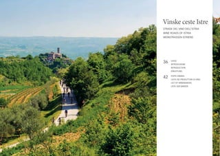 Vinske ceste Istre
STRADE DEL VINO DELL’ISTRIA
Wine Roads OF Istria
WeinstraSSen ISTRIENS

36

Uvod
Introduzione
Introduction
Einleitung

42

Popis vinara
Lista dei produttori di vino
List of Winemakers
Liste der Winzer

 