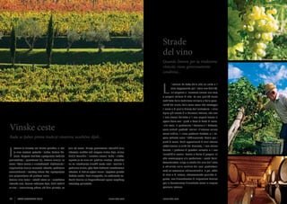Strade 			
del vino
Quando l’amore per la tradizione
vinicola viene generosamente
condiviso...

L

’Istriano ha fatto della vite un culto e il
vino rappresenta per l’Istria una divinità,
un’esigenza e immenso amore: una vera

e propria cultura di vita. La sua qualità viene
nobilitata dalla tradizione vinicola e dalla peculiarità del suolo, della terra rossa che costeggia
il mare e di quella bianca dell’entroterra. Il vino
tipico più amato è la Malvasia istriana, che con
il suo aroma delicato e il suo sapore fresco si
sposa bene con i piatti a base di frutti di mare.

Vinske ceste

I vini rossi, in particolare il Terrano e il Refosco,
sono antichi prodotti istriani. L’intenso colore
rosso rubino, il ricco profumo fruttato e il sa-

Kada se ljubav prema tradiciji vinarstva nesebično dijeli...

pore robusto sono l’abbinamento ideale per i
piatti di carne. Molti appassionati di vino istriano

I

sottolineano le virtù del Moscato, il suo colore

stranin je vinovoj lozi kultno privržen, a Istri

jela od mesa. Mnogi poznavaoci istarskih vina

je vino svetost, potreba i ljubav, kultura živ-

izdvajaju muškat radi njegove zlatne boje, mirisa

ljenja. Njegovu kvalitetu upotpunjuju tradicija

divljih karanfila i izuzetne arome. Suho i slatko,

proizvodnje i posebnost tla, crvena zemlja uz

upravo je to vino vrli pratilac slastica. Odvažite

more i bijela zemlja u unutrašnjosti. Najčuvenije i

se na istraživanje vinskih cesta Istre i zavirite u

najprisutnije vino je malvazija istarska, profinjene

podrume vinara, gdje ćete doživjeti nezaboravno

aromatičnosti i svježeg okusa koji upotpunjuje

iskustvo. A, dok se opijeni vinom i ljepotom prirode

jela pripremljena od plodova mora.

budete vraćali kroz vinograde, ne zaboravite za-

di vino e di natura, attraversando qualche vi-

Crvena vina teran i refošk stara su i autohtona

hvaliti Dionizu na blagonaklonosti spram magičnog

gneto, non dimenticatevi di ringraziare Dioniso

istarska vina. Tamne rubinove boje, živih voćnih

istarskog poluotoka.

per la benevolenza dimostrata verso la magica

ISTRA GOURMET 2013

incredibile aroma. Secco o dolce è proprio lui
che accompagna alla perfezione i nostri dolci.
Avventuratevi lungo le strade del vino dell’Istria
e sbirciate nelle cantine dei suoi produttori:
sarà un’avventura indimenticabile. E poi, ebbri

penisola istriana.

mirisa i intenzivnog okusa odlično pristaju uz

36

dorato, il profumo di garofani selvatici e il suo

www.istra.com

www.istra.com

ISTRA GOURMET 2013

37

 