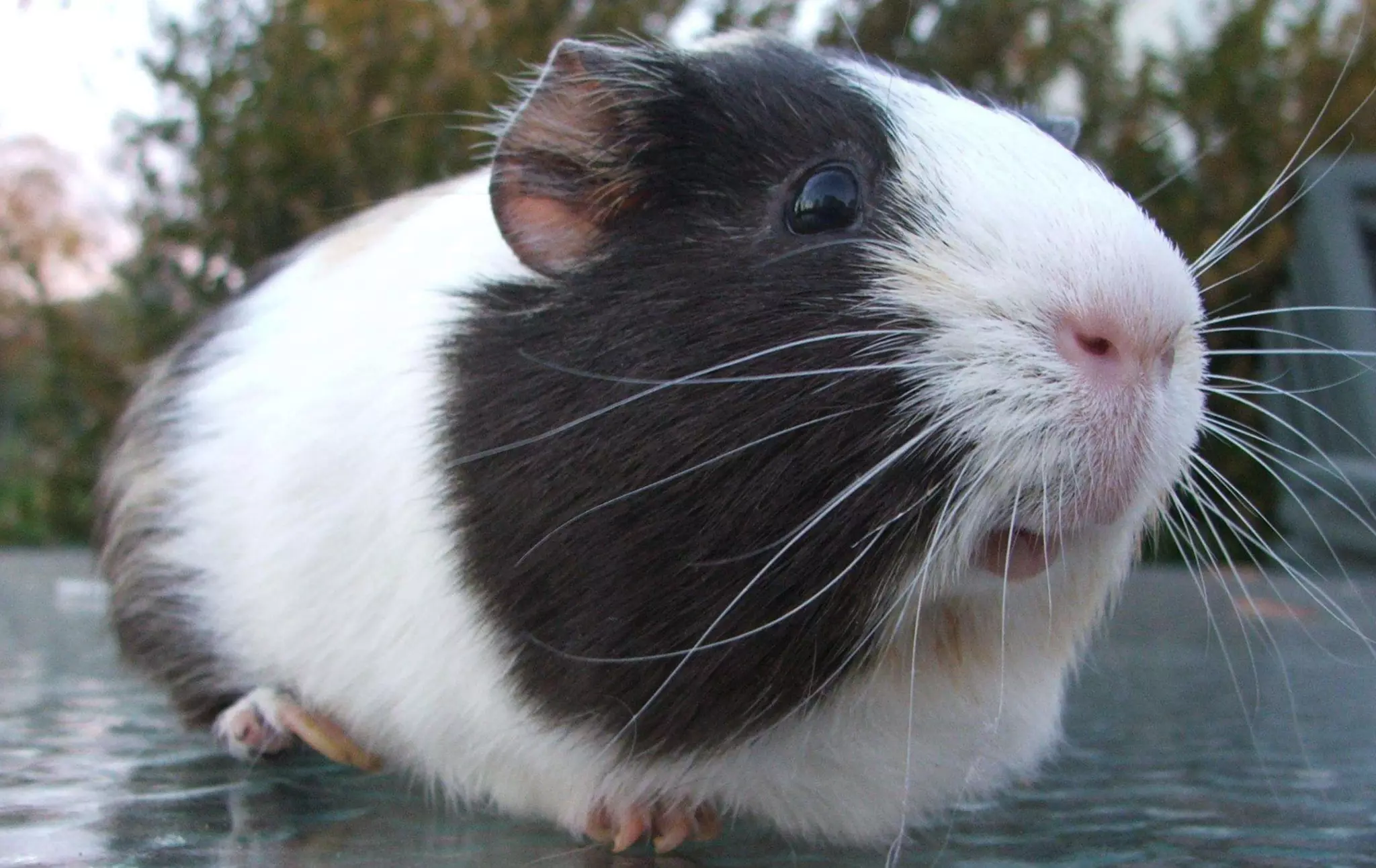 Meet Dave (Not his real name)
BACKGROUND:
• Head of IT in digital advertising agency
• Worked at the same company for 10 years; worked
  his way up from senior systems engineer
• Married with one child (11)

DEMOGRAPHICS:
• Skews male
• Age 40-50
• Dual HH Income: £220,000
• Urban

IDENTIFIERS:
• Calm demeanor
• Small team, jack-of-all-trades
• Very active online
                                                    @jeremywoolf
 