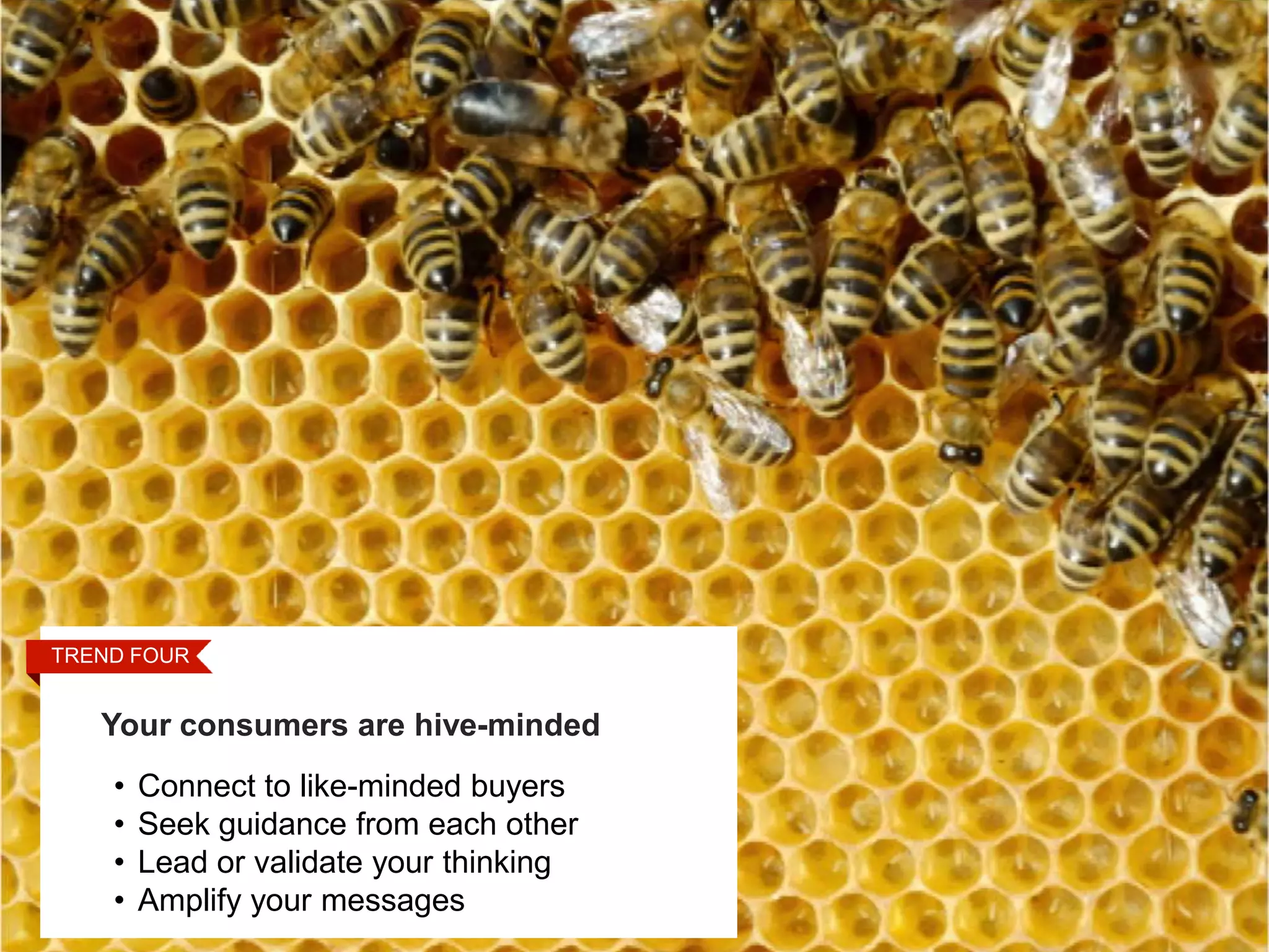 TREND FOUR
  STEP FOUR

 Touch Points
   Your consumers are hive-minded
    •   Connect to like-minded buyers
    •   Seek guidance from each other
    •   Lead or validate your thinking
    •   Amplify your messages
 