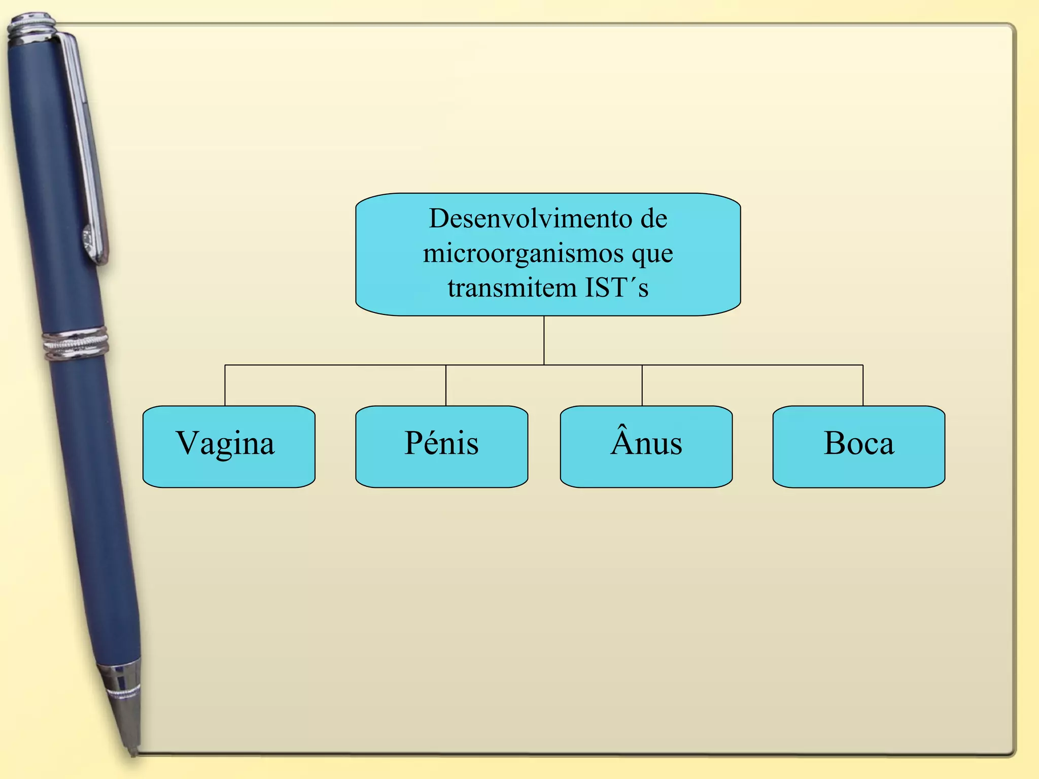 Desenvolvimento de microorganismos que transmitem IST´s Vagina Pénis Ânus Boca