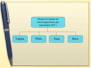 Desenvolvimento de microorganismos que transmitem IST´s Vagina Pénis Ânus Boca