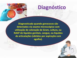 Diagnóstico
Diagnosticada quando gonococos são
detectados via exame microscópico com
utilização de coloração de Gram, cultura, ou
NAAT de líquidos genitais, sangue, ou líquidos
de articulações (obtidos por aspiração com
agulha).
 