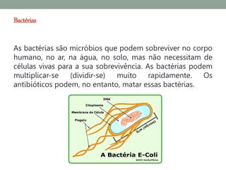 Bactérias

As bactérias são micróbios que podem sobreviver no corpo
humano, no ar, na água, no solo, mas não necessitam de
células vivas para a sua sobrevivência. As bactérias podem
multiplicar-se   (dividir-se)  muito     rapidamente.   Os
antibióticos podem, no entanto, matar essas bactérias.
 