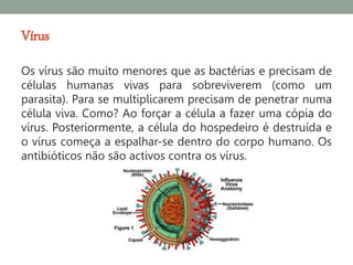 Vírus
Os vírus são muito menores que as bactérias e precisam de
células humanas vivas para sobreviverem (como um
parasita). Para se multiplicarem precisam de penetrar numa
célula viva. Como? Ao forçar a célula a fazer uma cópia do
vírus. Posteriormente, a célula do hospedeiro é destruída e
o vírus começa a espalhar-se dentro do corpo humano. Os
antibióticos não são activos contra os vírus.
 
