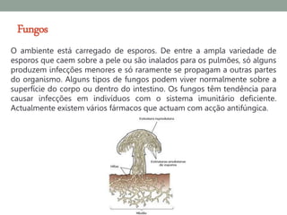 Fungos
O ambiente está carregado de esporos. De entre a ampla variedade de
esporos que caem sobre a pele ou são inalados para os pulmões, só alguns
produzem infecções menores e só raramente se propagam a outras partes
do organismo. Alguns tipos de fungos podem viver normalmente sobre a
superfície do corpo ou dentro do intestino. Os fungos têm tendência para
causar infecções em indivíduos com o sistema imunitário deficiente.
Actualmente existem vários fármacos que actuam com acção antifúngica.
 