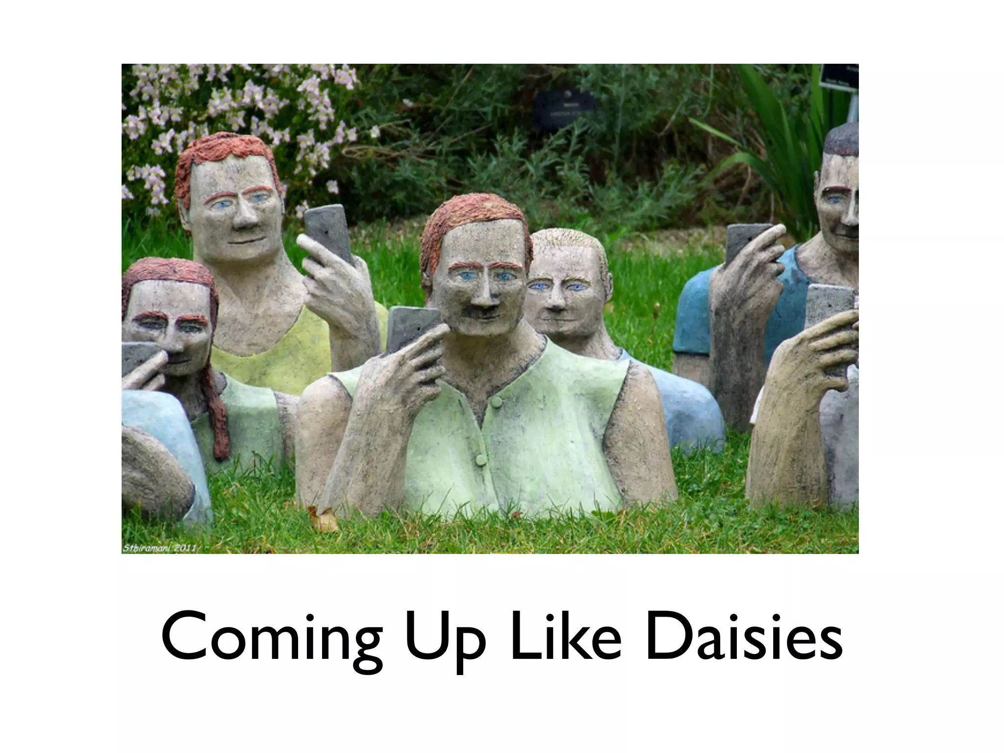 Coming Up Like Daisies
 