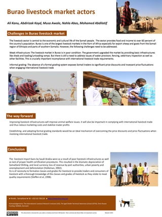 Burao livestock market actors