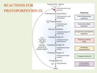REACTIONS FOR
PROTOPORPHYRIN IX
 