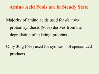 Majority of amino acids used for de novo
protein synthesis (80%) derives from the
degradation of existing proteins
Only 30 g (6%) used for synthesis of specialized
products
Amino Acid Pools are in Steady State
 