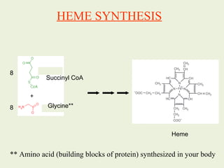 Heme
8
8
Succinyl CoA
Glycine**
** Amino acid (building blocks of protein) synthesized in your body
HEME SYNTHESIS
 