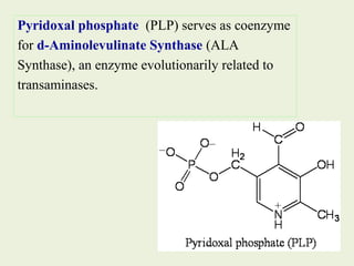 Pyridoxal phosphate (PLP) serves as coenzyme
for d-Aminolevulinate Synthase (ALA
Synthase), an enzyme evolutionarily related to
transaminases.
 
