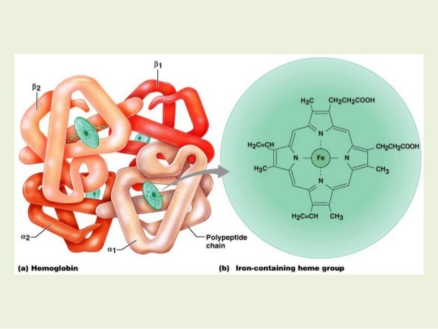 Prophrin Ring Prophrin Ring