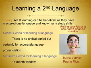 Learning a 2nd Language
Theory: Adult learning can be beneficial as they have
mastered one language and know many study skills.
Critical Period or learning a language
There is no critical period but
certainly for accuratelanguage
pronunciation
Sensitive Period for learning a language
14 month window
burro: donkey
Puerto Rico
Rolling your R’s as a
non-native Spanish
speaker
 