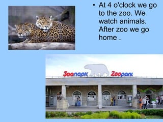 • At 4 o'clock we go
to the zoo. We
watch animals.
After zoo we go
home .

 