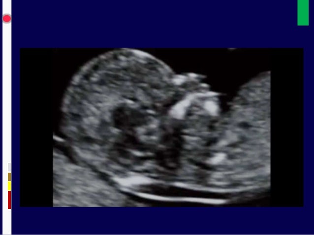 dating a pastor rules