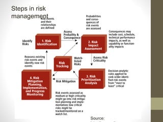 6 Basic Steps Risk Management Risk Assessment and Management | PPTX