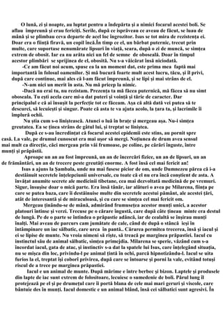 O lună, zi şi noapte, au luptat pentru a îndepărta şi a nimici focarul acestei boli. Se
     aflau împreună şi erau fericiţi. Serile, după ce isprăveau ce aveau de făcut, se luau de
     mână şi se plimbau ceva departe de acel loc îngrozitor. Isus se tot mira de rezistenţa ei.
     Doar era o fiinţă firavă, un copil încă.În timp ce el, un bărbat puternic, trecut prin
     multe, care suportase nenumărate lipsuri în viaţă, seara, după o zi de muncă, se simţea
     extrem de obosit. Iar ea nu arăta nici un fel de semne de oboseală. Doar în timpul
     acestor plimbări se sprijinea de el, obosită. Nu s-a văicărat însă niciodată.
          -Ce am făcut noi acum, spuse ea la un moment dat, este prima mea faptă mai
     importantă în folosul oamenilor. Şi mă bucură foarte mult acest lucru, tăcu, şi îl privi,
     după care continue, mai ales că l-am făcut împreună, şi se lipi şi mai strâns de el.
          -N-am nici un merit în asta. Nu mă pricep la nimic.
          -Dacă nu erai tu, nu rezistam. Prezenţa ta mă făcea puternică, mă făcea să nu simt
     oboseala. Tu eşti acela care mi-a dat puteri şi voinţă şi tărie de caracter. Dar
     principalul e că ai însuşit la perfecţie tot ce făceam. Aşa că altă dată vei putea să te
     descurci, să lecuieşti şi singur. Poate că asta te va ajuta acolo, la ţara ta, şi lacrimile îi
     împlură ochii.
           Nu ştia cum s-o liniştească. Atunci o luă în braţe şi mergeau aşa. Nu-i simţea
     greutatea. Ea se ţinea strâns de gâtul lui, şi treptat se liniştea.
            După ce s-au încredinţat că focarul acestei epidemii este stins, au pornit spre
casă. La vale, pe drumul cunoscut era mai uşor să mergi. Noţiunea de drum avea sensul
mai mult ca direcţie, căci mergeau prin văi frumoase, pe coline, pe cărări înguste, între
munţi şi prăpăstii.
           Aproape un an au fost împreună, un an de încercări fizice, un an de lipsuri, un an
de frământări, un an de trecere peste greutăţi enorme. A fost însă cel mai fericit an!
          Isus a ajuns la Şambala, unde nu mai fusese picior de om, unde Dumnezeu părea că i-a
      destăinuit secretele înţelepciunii universale, cu toate că el nu era încă conştient de asta. A
      învăţat anumite secrete ale medicinii tibetane, cea mai dezvoltată medicină de pe vremuri.
      Sigur, însuşise doar o mică parte. Era însă tânăr, iar alături o avea pe Milarena, fiinţa pe
      care se putea baza, care îi destăinuise multe din secretele acestui pământ, ale acestei ţări,
      atât de interesantă şi de miraculoasă, şi cu care se simţea cel mai fericit om.
           Mergeau ţinându-se de mână, admirând frumuseţea acestor munţi unici, a acestor
      platouri întinse şi verzi. Trecuse pe o cărare îngustă, care după câte ţineau minte era destul
      de lungă. Pe de o parte se întindea o prăpastie adâncă, iar de cealaltă se înşirau munţi
      înalţi. Mai aveau de parcurs cam jumătate de cale, când de după o stâncă ieşi în
      întâmpinare un iac sălbatic, care urca în pantă.. Cărarea permitea trecerea, însă şi iacul şi
      ei se lipise de munte. Nu vroia nimeni să rişte, să treacă pe marginea prăpastiei. Iacul cu
      instinctul său de animal sălbatic, simţea primejdia. Milarena se sperie, văzând cum s-a
      încordat iacul, gata de atac, şi instinctiv s-a dat la spatele lui Isus, care înţelegând situaţia,
      nu se mişca din loc, privindu-l pe animal ţintă în ochi, parcă hipnotizându-l. Iacul se uita
      furios la el, treptat îşi coborî privirea, după care se întoarse şi porni la vale, evitând totuşi
      riscul de a trece pe marginea prăpastiei.
             Iacul e un animal de munte. După mărime e între berbec şi bizon. Laptele şi produsele
      din lapte de iac sunt extrem de folositoare, lecuiesc o sumedenie de boli. Părul lung îl
      protejează pe el şi pe drumeţul care îi portă blana de cele mai mari geruri şi viscole, care
      bântuie des în munţi. Iacul domestic e un animal blând, însă cei sălbatici sunt agresivi. În
 
