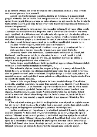 ca pe oameni. O făcea din două motive: nu ştia să lecuiască animale şi avea ierburi
doar numai pentru a lecui oamenii.
      Ceru să i se dea doi oameni în ajutor. Aprinse un foc mare, şi în cazane mari
pregăti mixturile, dar pe care le făcu mai puternice ca la oameni. Ceru să i se aducă
apă de izvor curată. Dar pe aproape nu existau izvoare cu apă curată. Au fost trimişi în
toate părţile călăreţi, şi în timp de trei ore avea la dispoziţie suficientă apă de izvor. Se
temea să nu greşească.
      Începu cu animalele care au mers în urma celor bolnave. O idee care plăcu la şefi.
Apoi trecu la animalele bolnave. De prima dată le dădu o doză de două ori mai mare
decât consideră că ar fi fost normal. Metoda a dat efect peste trei zile, când cămilele s-
au sculat în picioare, gata să meargă mai departe. Deveni eroul caravanei. Primi
mulţumiri din toate părţile şi o sumă bună de bani. Conducerea caravanei l-a invitat să
se deplaseze cu ei, în fruntea caravanei, pe o cămilă personală, şi să ia masa cu ei.
      Isus însă refuză categoric, stârnind o uşoară nedumerire.
      -Sunt un om simplu, răspunse el. Am făcut ce am putut şi ce trebuia să fac…
      Şi şi-a continuat drumul în coada caravanei, aşa cum porni din India.
      Drumurile Persiei erau anevoioase. Tocmai undeva la hotarele cu Irakul, ori
Babilonul, cum îl numeau toţi, în jurul unui oazis mare, cu apă curată şi iarbă
mustoasă, s-au oprit la un popas de trei zile. Au descărcat marfa de pe cămile şi
măgari, dându-le posibilitate să se odihnească.
      Pentru timpul nopţii şeful pazei întări posturile de supraveghere. Detaşamentul de
voluntari făcea de serviciu împreună cu străjerii.
      Ziua animalele păşteau în voie, iar noaptea şeful pazei le aranja să doarmă, în
formă de cerc, iar în mijloc se odihneau membrii caravanei. Era ca o mică fortăreaţă,
care nu permitea atacul prin surprindere. Se aplica de fapt o tactică veche, folosită de
armatele romane, unde apărătorii aveau prioritate, adăpostindu-se după animale. Paza
se schimba la fiecare două ore.
      Pentru a treia noapte Isus primi postul de la ora două dimineaţa. Era o linişte
profundă, specifică pustiului. Se auzea doar sunetul scos de diveriţi greieri de pustiu.
Era muzica pustiului. La un moment i se păru că aude un foşnet care nu era în acord
cu liniştea şi sunetele pustiului. Pentru orice eventualitate luă arcul în mână, puse
săgeata. Ascultă atent. Însă era linişte. Nimic nu tulbura liniştea pustiului. Totuşi
având în vedere că vântul bătea din spatele său, în defavoarea lui, hotărî să fie mai
prudent. Peste un timp sunetul se repetă mai clar şi mai aproape. Şi iarăşi se făcu
linişte.
     Când cele două umbre, parcă răsărite din pământ, s-au năpustit cu cuţitele asupra
lui, nici nu dovedi să tragă coarda arcului. Însă se adăposti intuitiv după gâtul cămilei,
care, ca şi el, nu înţelegea ce se întâmplă şi continua să rumege alene.
      În clipa următoare sări în picioare şi cu o lovitură puternică îl puse la pământ pe
unul din atacanţi. Al doilea însă lovi, dar cuţitul trecu pe alături, atingându-i puţin
umărul. Tâlharul lovise cu toată puterea, şi cuţitul lui, negăsind sprijin în corpul lui
Isus, căzu din mână. Tâlharul îşi pierdu echilibrul. Isus îl lovi. Însă primi o lovitură în
spate de la tâlharul care căzu primul. Se prăvăli peste al doilea tâlhar, care era deja
lungit. Însă dovedi să se întoarcă cu faţa spre cel care l-a atacat, gata să se apere. Dar
tâlharul căzu peste el, primind o lovitură de la străjerii care venise în ajutor.
 