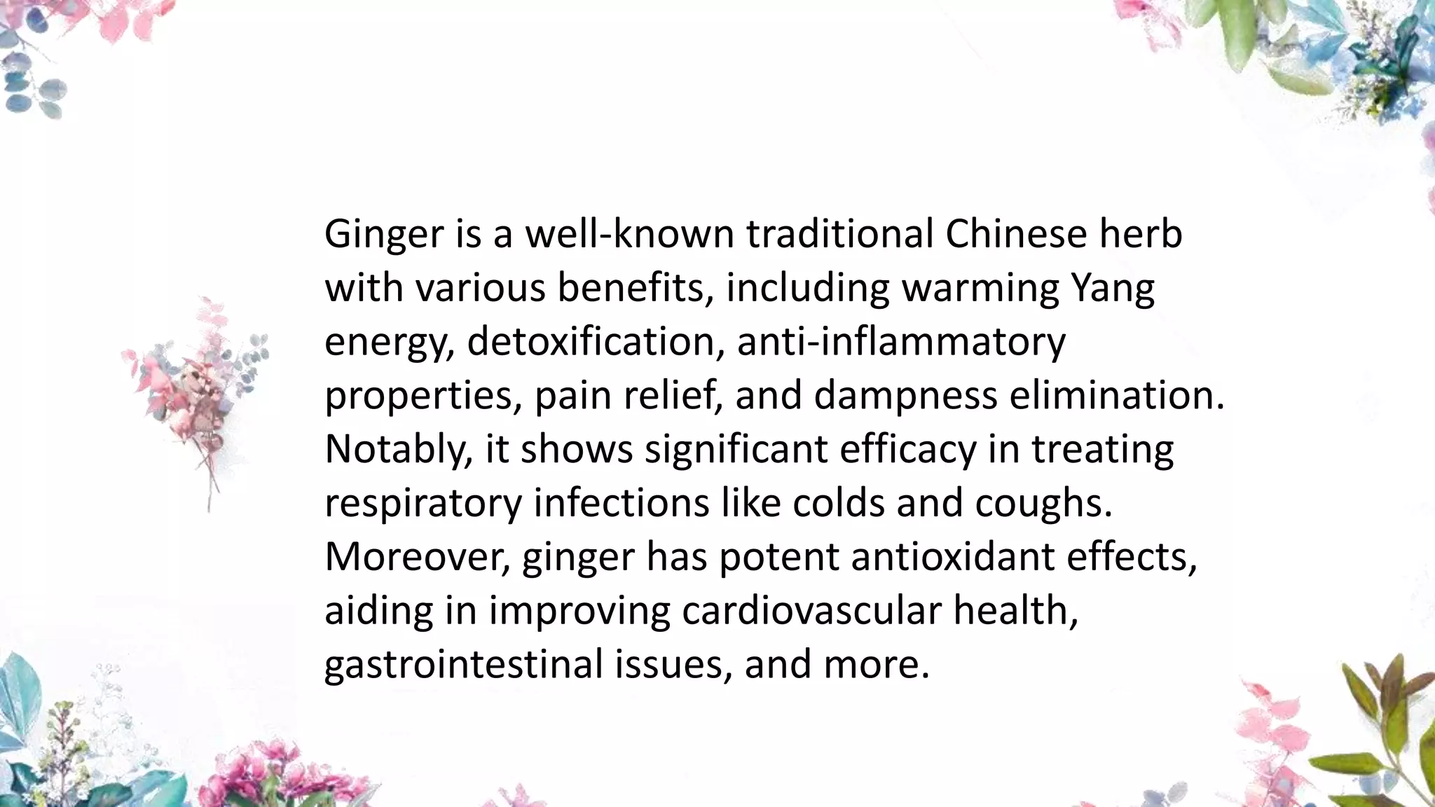Ginger is a well-known traditional Chinese herb
with various benefits, including warming Yang
energy, detoxification, anti-inflammatory
properties, pain relief, and dampness elimination.
Notably, it shows significant efficacy in treating
respiratory infections like colds and coughs.
Moreover, ginger has potent antioxidant effects,
aiding in improving cardiovascular health,
gastrointestinal issues, and more.
 