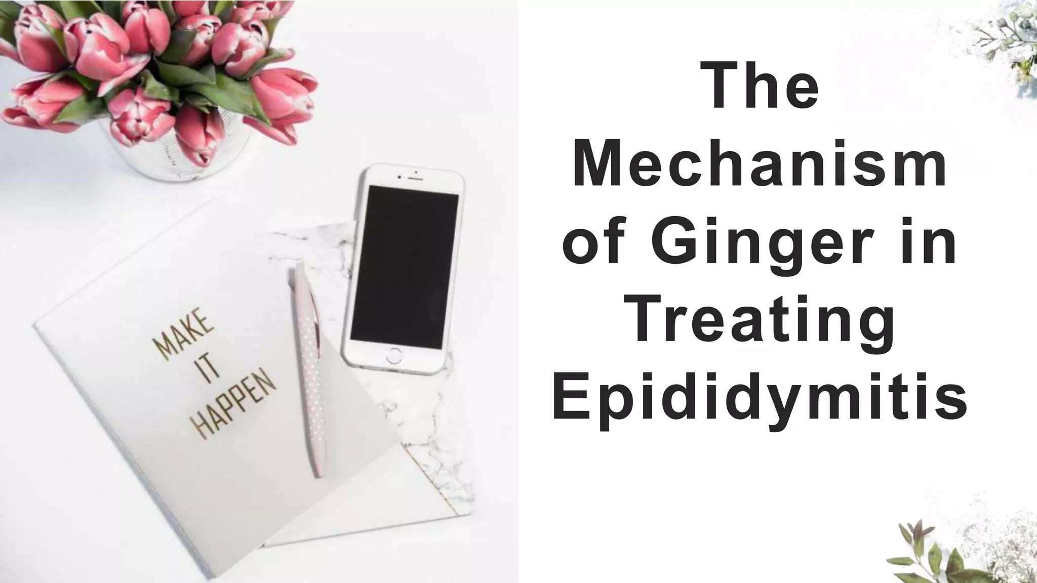 The
Mechanism
of Ginger in
Treating
Epididymitis
 