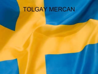 TOLGAY MERCAN
 