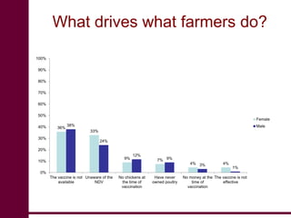 Newcastle disease vaccination: From technology to poverty reduction