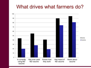 Newcastle disease vaccination: From technology to poverty reduction