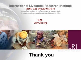 Newcastle disease vaccination: From technology to poverty reduction