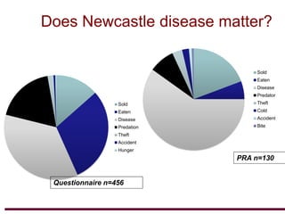 Newcastle disease vaccination: From technology to poverty reduction