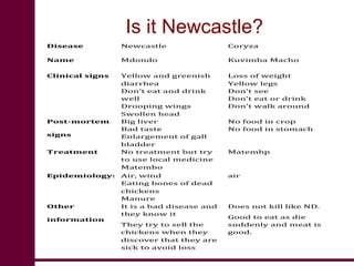 Newcastle disease vaccination: From technology to poverty reduction