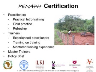 Update on the Participatory Epidemiology Network for Animal and Public Health (PENAPH) 