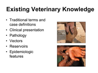 Update on the Participatory Epidemiology Network for Animal and Public Health (PENAPH) 