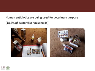 Antimicrobial use in smallholder livestock systems in Ethiopia