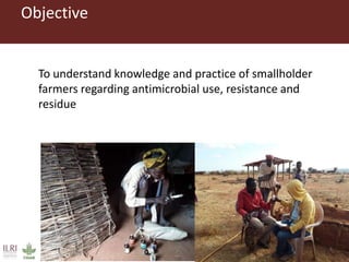 Antimicrobial use in smallholder livestock systems in Ethiopia