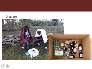 Antimicrobial use in smallholder livestock systems in Ethiopia