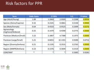 Untangling the respiratory disease complex in small ruminants in Ethiopia