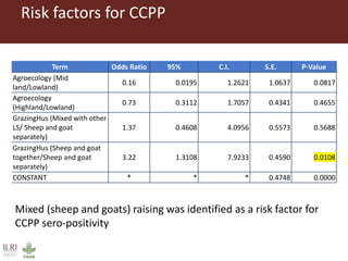 Untangling the respiratory disease complex in small ruminants in Ethiopia