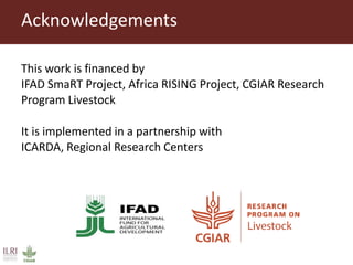 Untangling the respiratory disease complex in small ruminants in Ethiopia