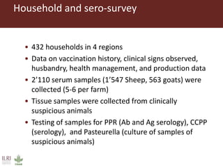 Untangling the respiratory disease complex in small ruminants in Ethiopia