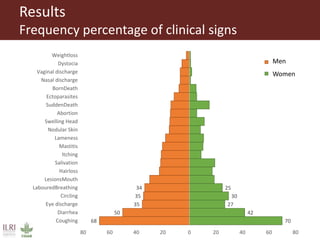 Untangling the respiratory disease complex in small ruminants in Ethiopia