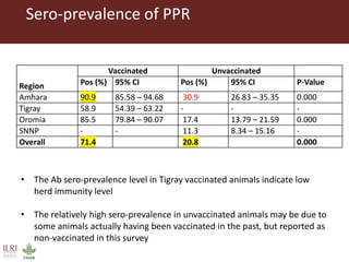 Untangling the respiratory disease complex in small ruminants in Ethiopia