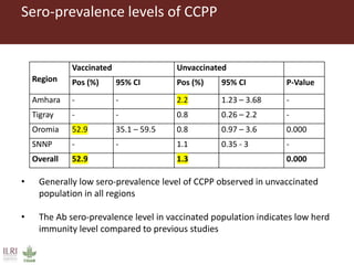 Untangling the respiratory disease complex in small ruminants in Ethiopia