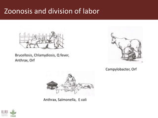 Awareness of zoonoses among smallholder livestock producers in Ethiopia