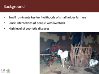 Awareness of zoonoses among smallholder livestock producers in Ethiopia