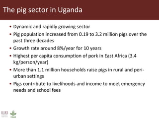 Why smallholder pig value chain actors are not willing to report disease outbreak or comply to animal movement restrictions in Uganda