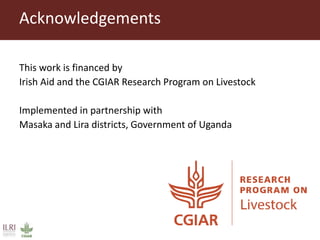 Why smallholder pig value chain actors are not willing to report disease outbreak or comply to animal movement restrictions in Uganda
