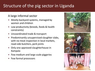 Why smallholder pig value chain actors are not willing to report disease outbreak or comply to animal movement restrictions in Uganda