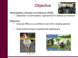 Evaluation of participatory disease surveillance  for highly pathogenic avian influenza in Africa and rinderpest in Pakistan